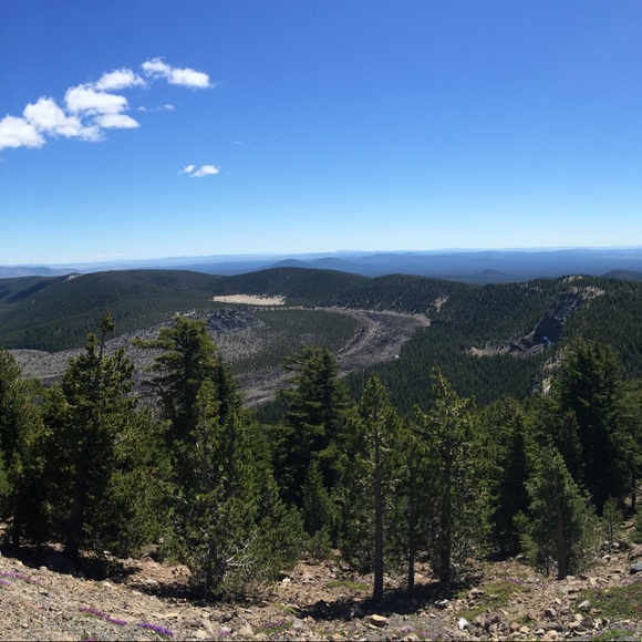 Meet your Posher, Karlie - Picture 1 of 1